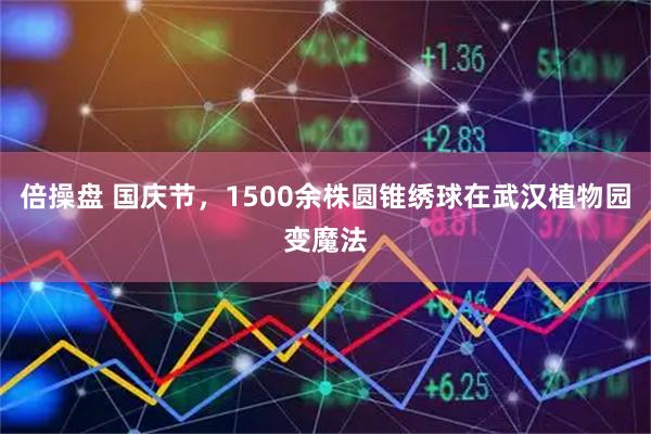 倍操盘 国庆节，1500余株圆锥绣球在武汉植物园变魔法