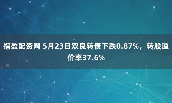 指盈配资网 5月23日双良转债下跌0.87%，转股溢价率37.6%