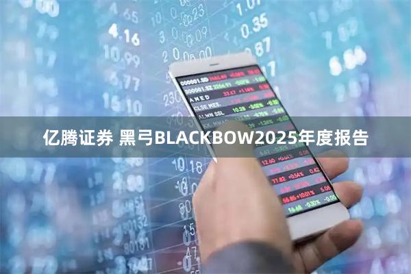 亿腾证券 黑弓BLACKBOW2025年度报告